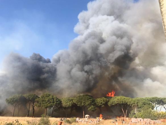 Incendi Castel Fusano, arrestato il terzo piromane: iracheno con 2 inneschi nello zaino