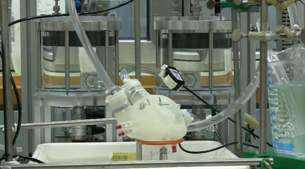 Cuore artificiale in silicone da stampa 3D: primo test positivo