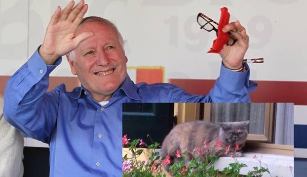 Sophie, la gatta dello storico bomber Ezio Pascutti cerca casa