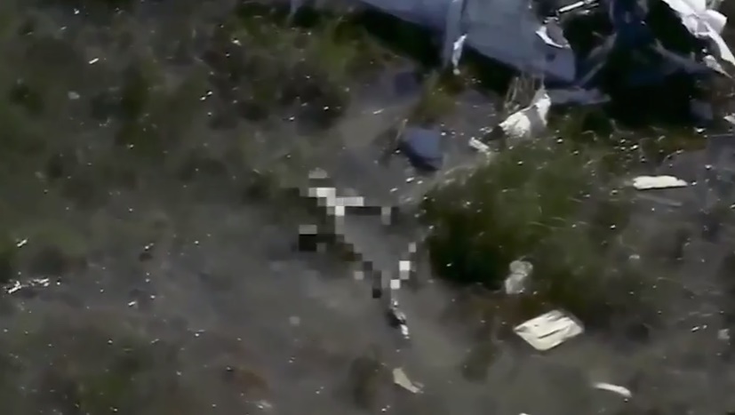 Piccolo aereo cade in zona paludosa della Florida: alligatore mangia corpo pilota