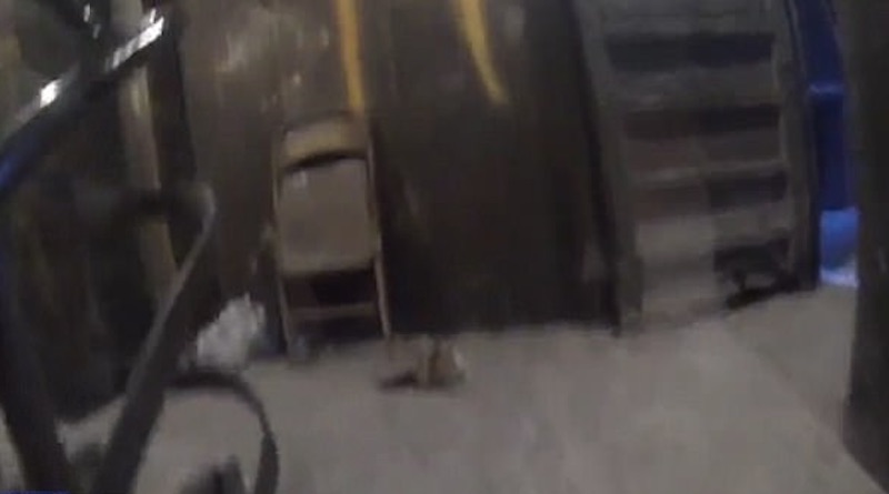 Incendio Londra, VIDEO choc della polizia dentro la torre bruciata