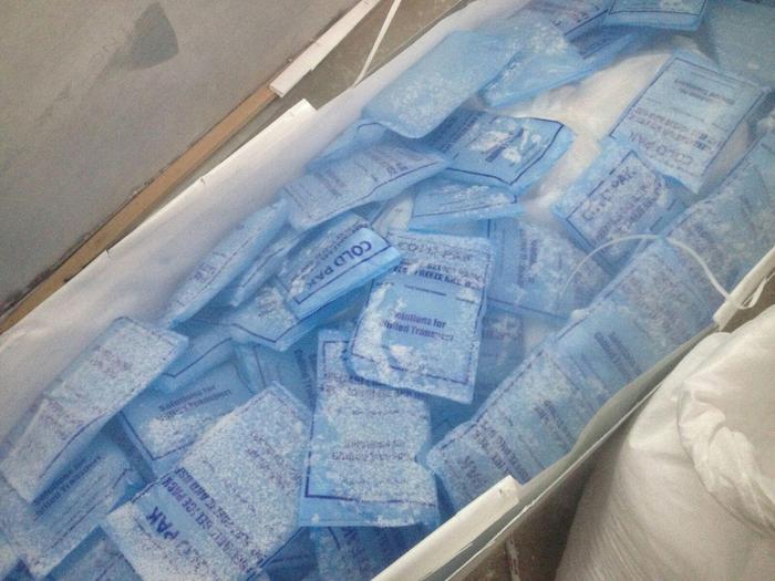 Ibernazione dopo la morte? A Mirandola la prima agenzia funebre che "gela" i clienti