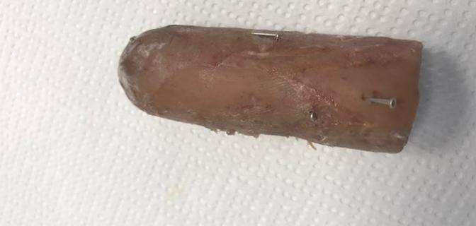 Rapallo, lanciano wurstel farciti di spilli nel giardino per uccidere il cane