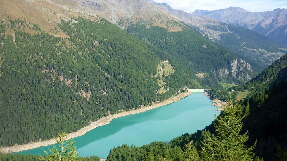 Trento, uomo aggredito da orso nella zona dei Laghi di Lamar: non è grave