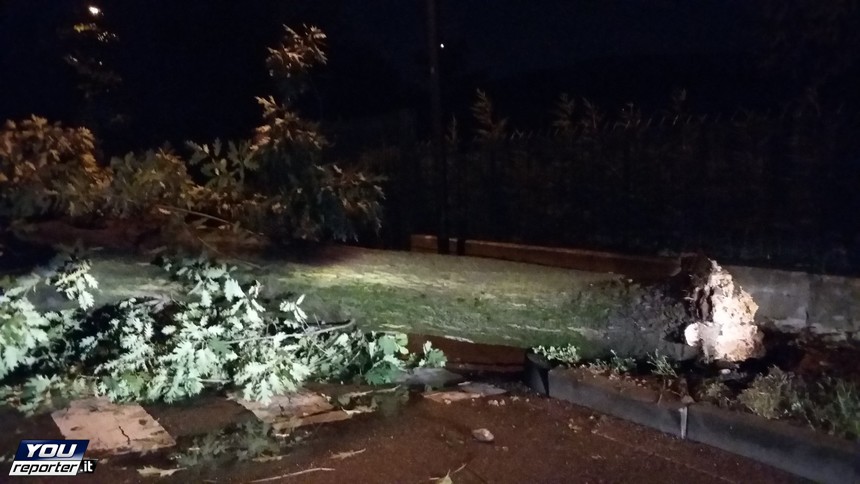 Maltempo in Lombardia, tromba d'aria in Brianza: alberi spezzati, tetti scoperchiati