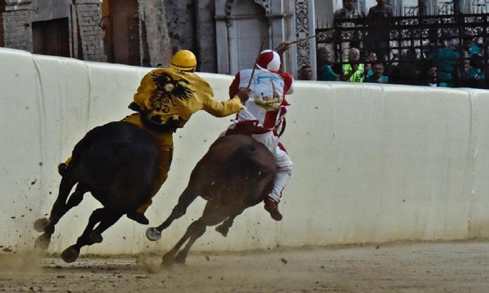 Palio di Siena 2017, vince la Giraffa VIDEO INTEGRALE DELLA CORSA