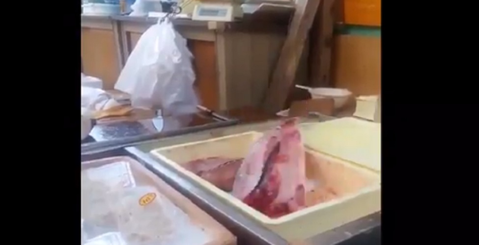 Giappone, il trancio di pesce salta sul bancone: ecco perché lo fa