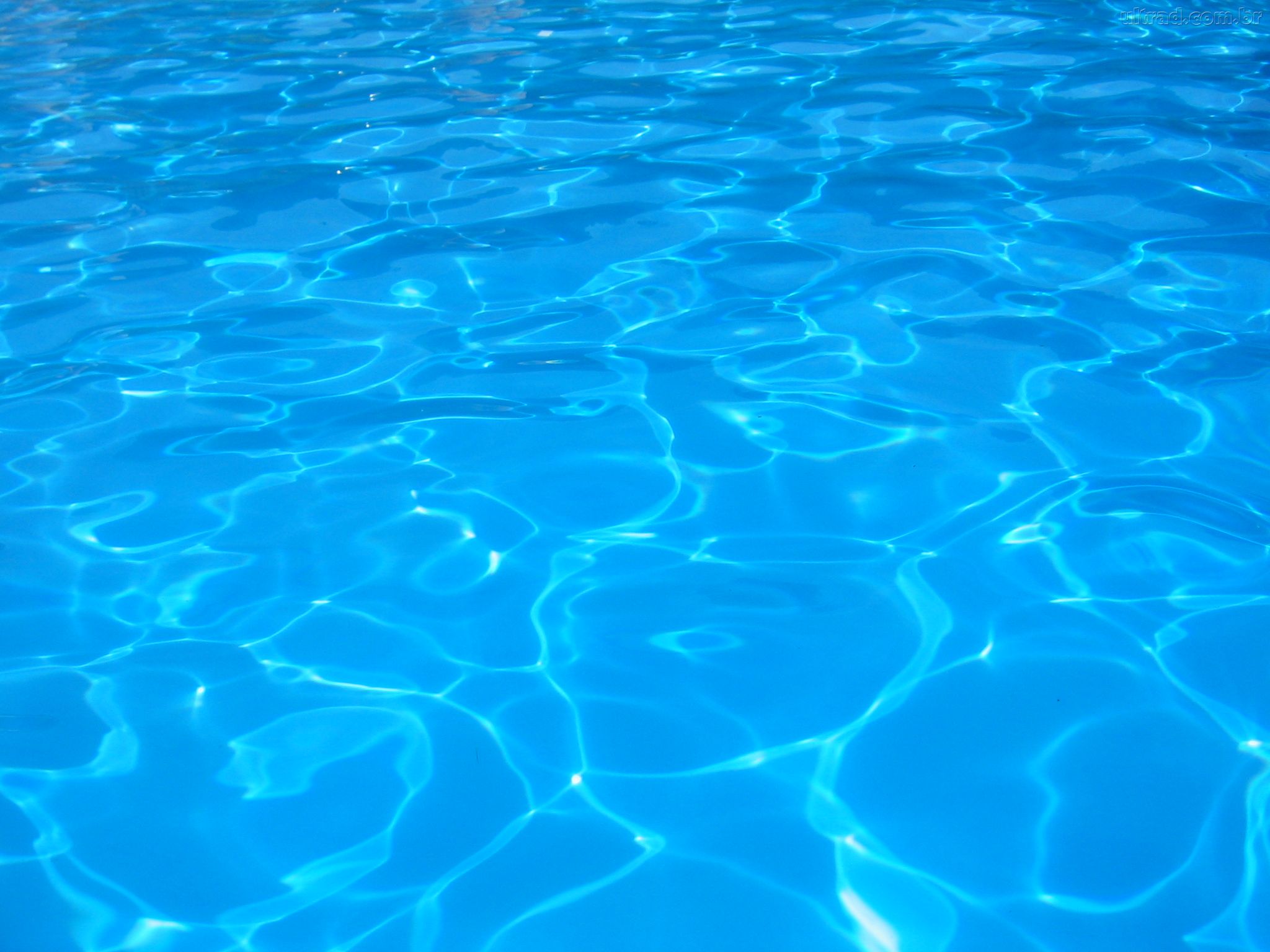 Castagnaro (Verona), bimba di 2 anni annega nella piscina di casa