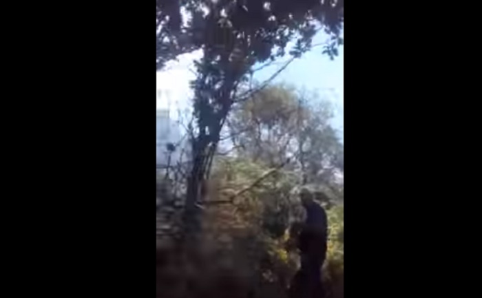 Vesuvio, gavettone dall'elicottero: il vigile del fuoco impreca