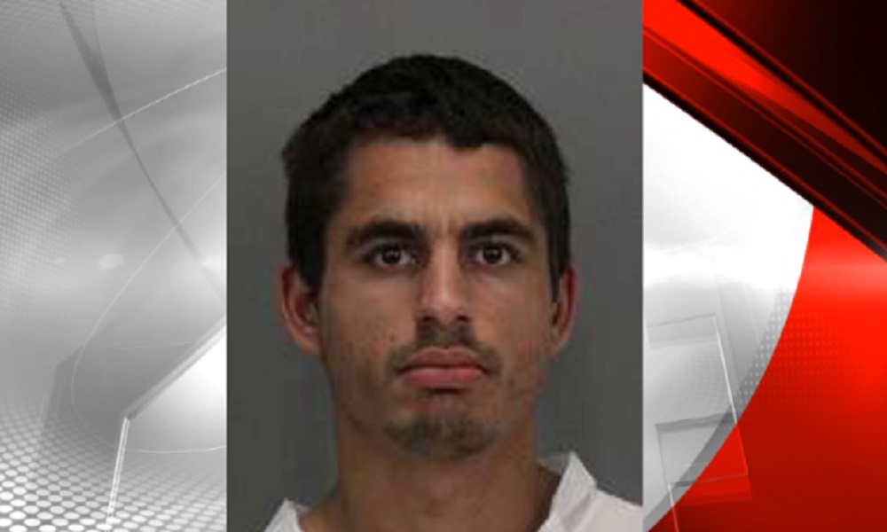 Usa: condannato a 16 anni il serial killer dei gatti: ne uccise 21