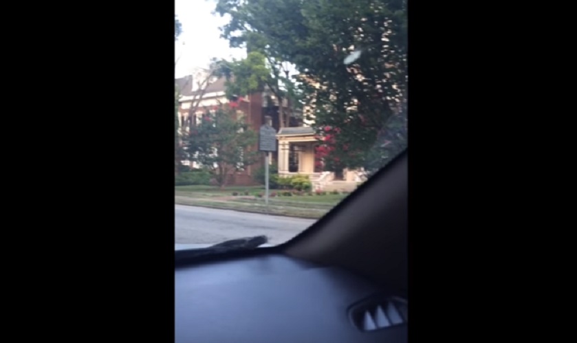 Serpente striscia sul parabrezza del suv: proprietaria resta barricata nell'auto