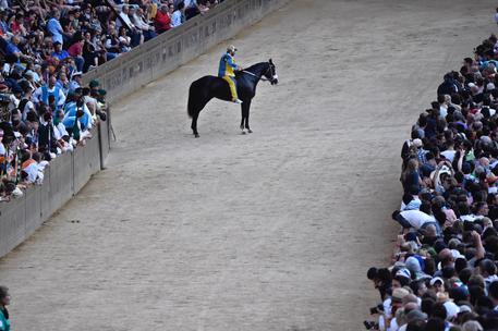 Tornasol, il cavallo dopato. Ma positività ai test non spiega forfait al Palio di Siena