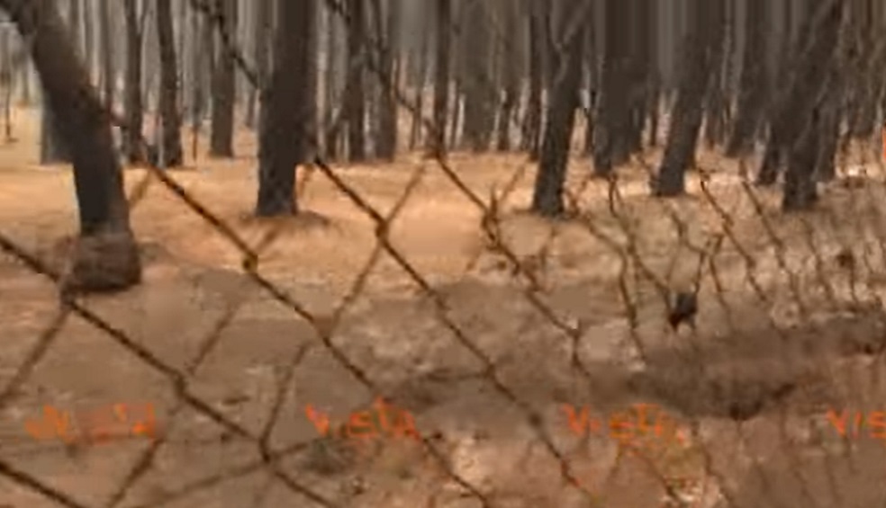 YOUTUBE Vesuvio brucia, il video spettrale dopo gli incendi al Parco Nazionale