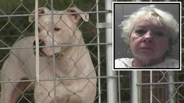 Usa, bimbo di 20 mesi sbranato dai pitbull della nonna: la donna accusata di omicidio