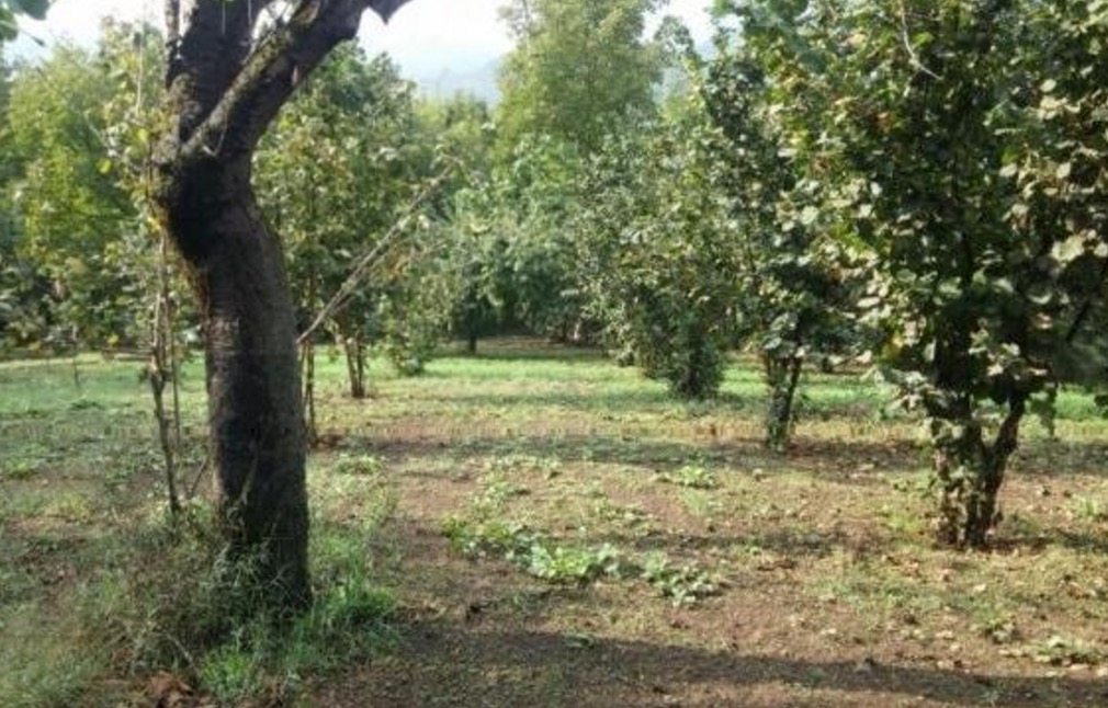 Agguato ad Agrigento: Salvatore Azzarello ammazzato in contrada Burraiti