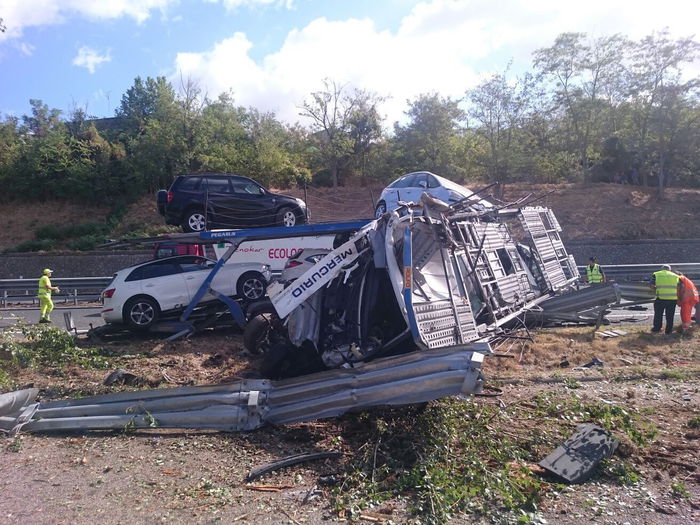 La bisarca accartocciata