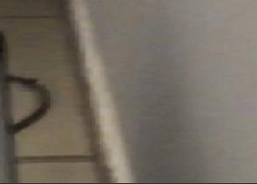 Serpenti all'interno dell'ufficio condoni del Comune di Roma