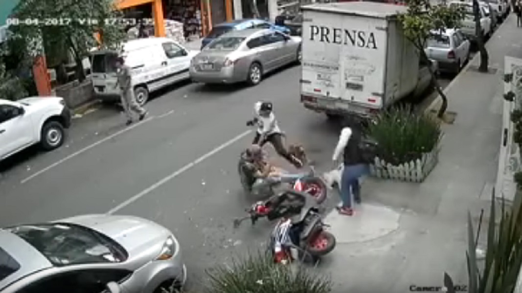 Padrone coraggioso: lotta contro il pitbull per salvare il suo cagnolino