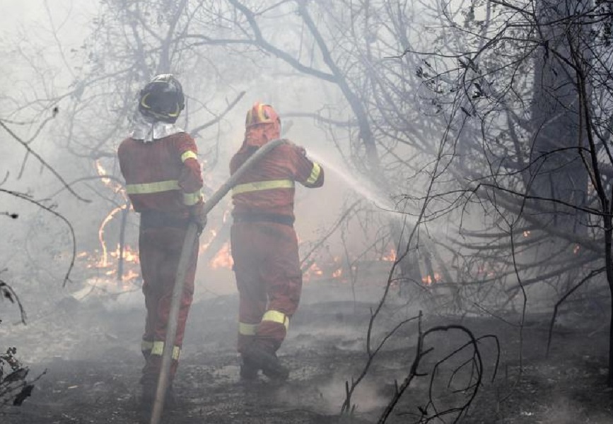 Incendio, ancora fiamme nella pineta di Castel Fusano