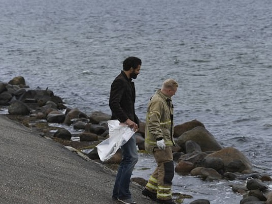 Danimarca, trovato torace femminile: è la giornalista Kim Wall?