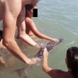 Cucciolo delfino spiaggiato muore: colpa dei bagnanti