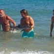 Cucciolo delfino spiaggiato muore: colpa dei bagnanti