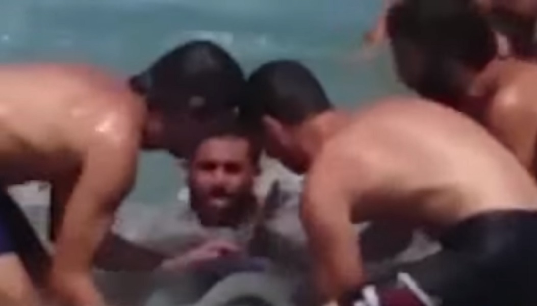 Delfino spiaggiato a Brindisi: bagnanti lo salvano sfidando le onde