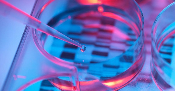 Genetica. Bambini senza malattie ereditarie, modificato Dna embrioni umani