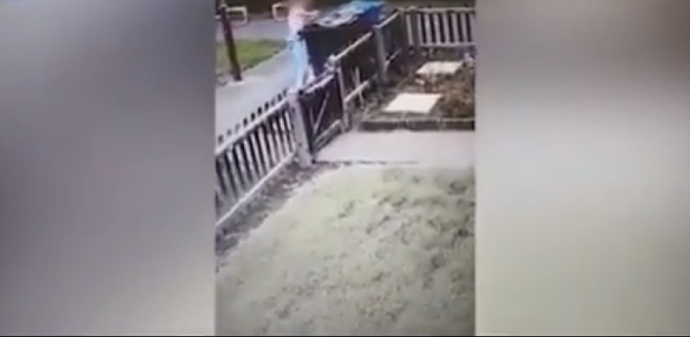 Chiude gatto nel secchio della spazzatura: 12enne ripresa da telecamera di sorveglianza