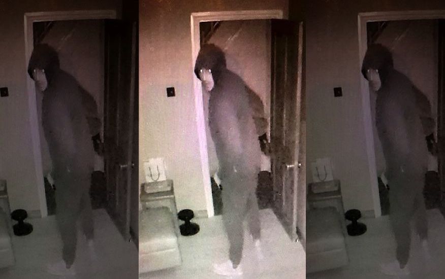 Guardano via app il ladro mentre gli svaligia casa: coppia terrorizzata in vacanza