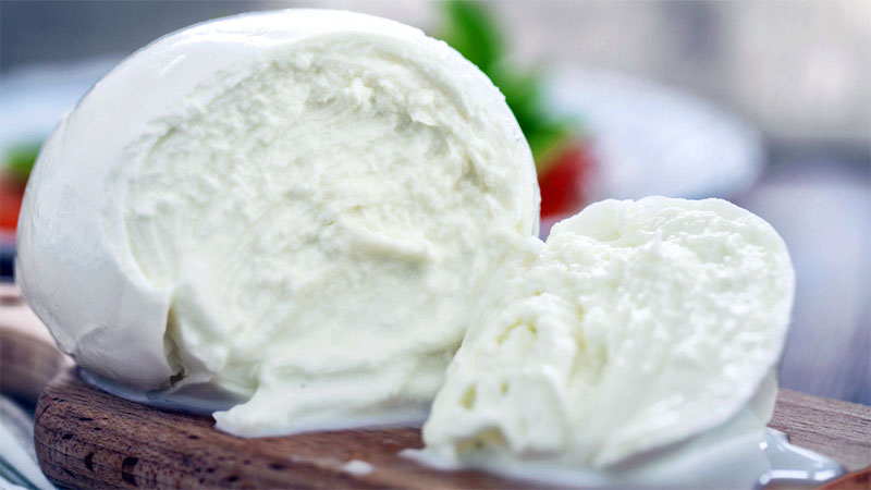 Mozzarella di bufala, polemica tra Istrana e Napoli. Ma c'è chi assolve i produttori trevigiani