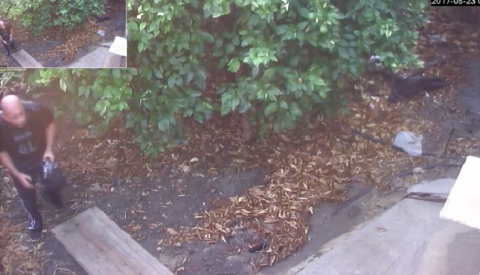 Francesco Calcagno: video omicidio diffuso dai carabinieri per trovare il killer