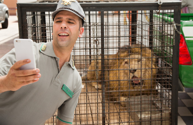 Puglia, "Quo vado" di Checco Zalone è realtà: impiegati province, stipendio senza lavorare
