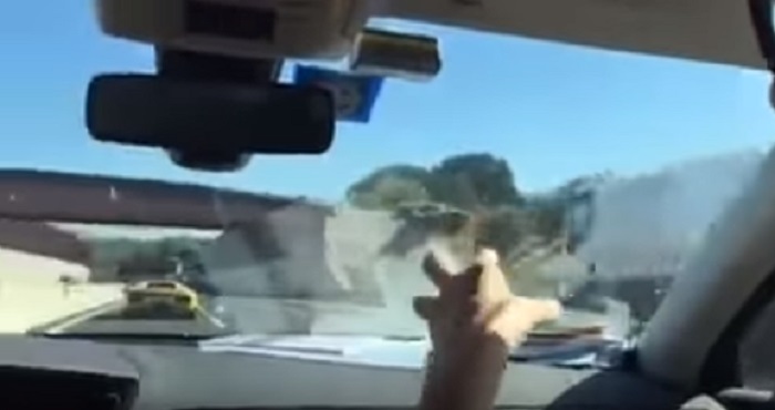 Vittorio Sgarbi e la Lamborghini gialla "di me...". William Balestrini lo denuncia