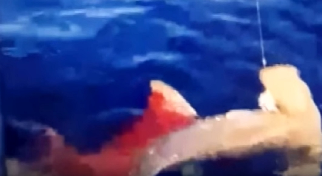 Squalo catturato in mare: i due pescatori gli sparano per divertimento