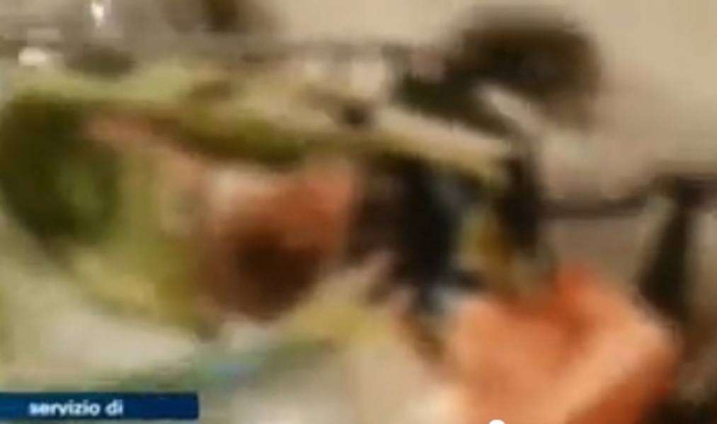 Terremoto Ischia, il momento della scossa: boato dall'interno di una casa VIDEO