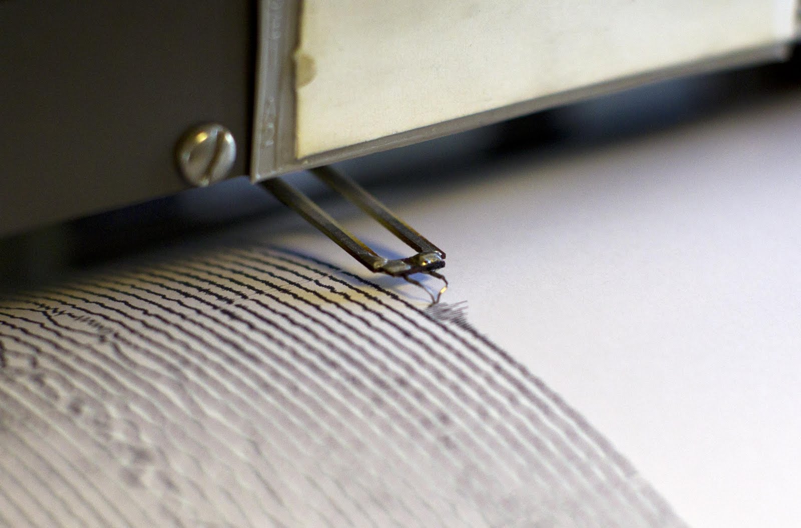 Terremoto, scossa magnitudo 5 in Iran