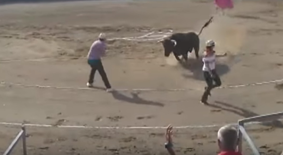 Animalista interrompe corrida e viene incornato dal toro