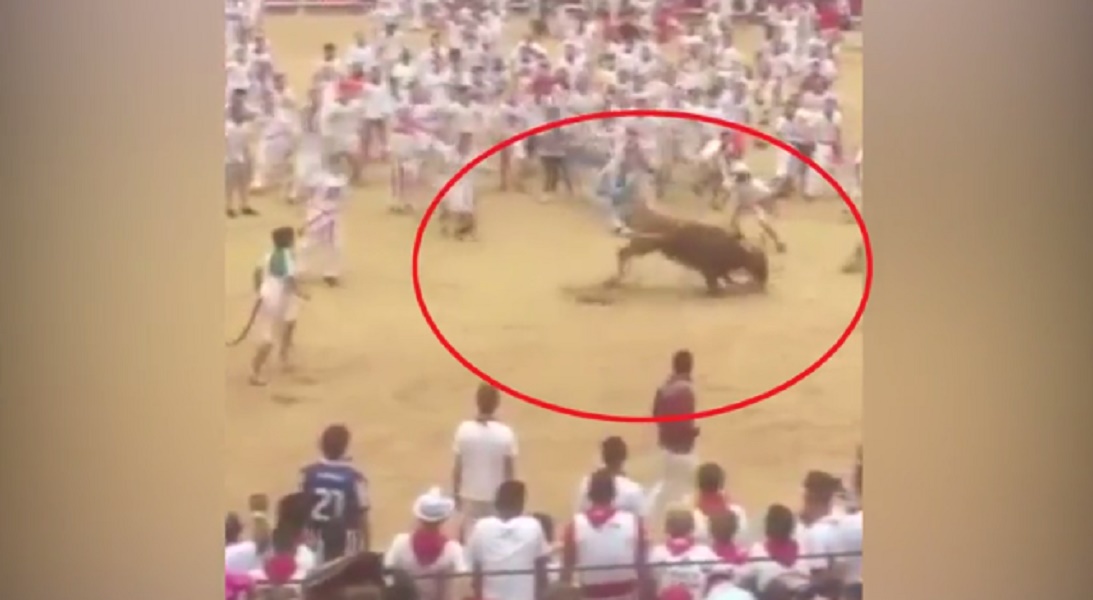 Si salva dal toro così: il VIDEO è spettacolare