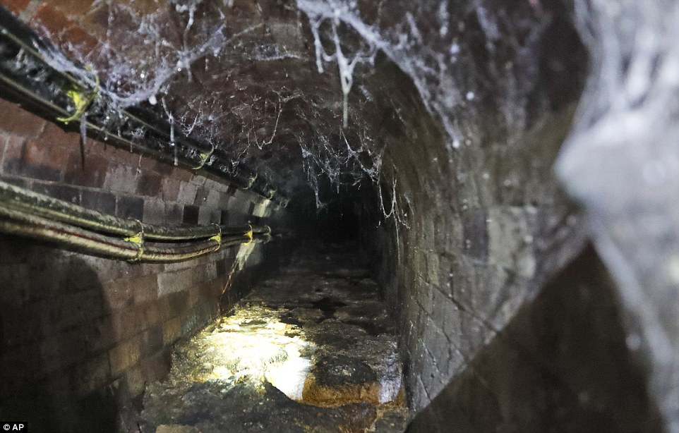 Nuovo "fatberg" nelle fogne di Londra: pesa come 3 elefanti. Verrà rimosso e trasformato in biodiesel
