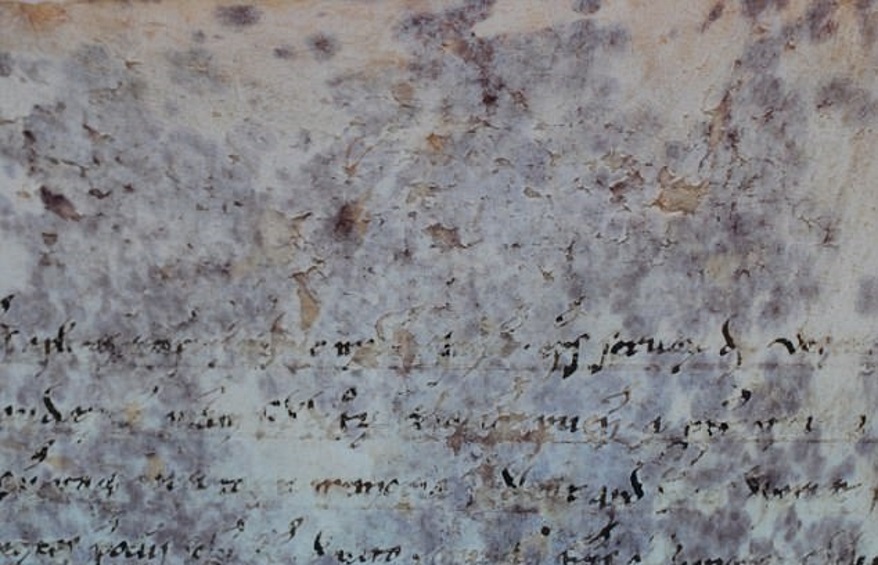 Pergamene viola in Vaticano: risolto il mistero, era colpa dei batteri