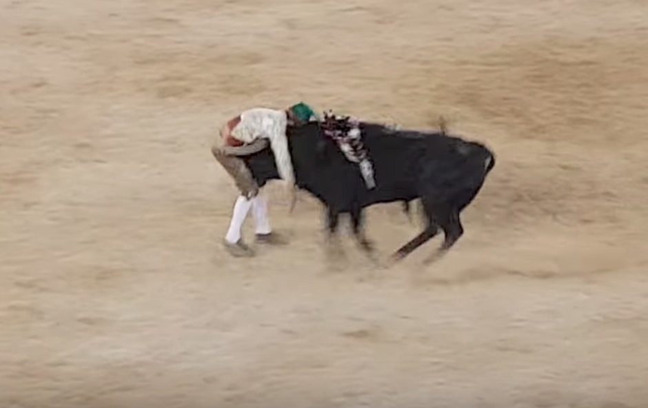 YOUTUBE Corrida in Portogallo, Fernando Quintela muore incornato dal toro