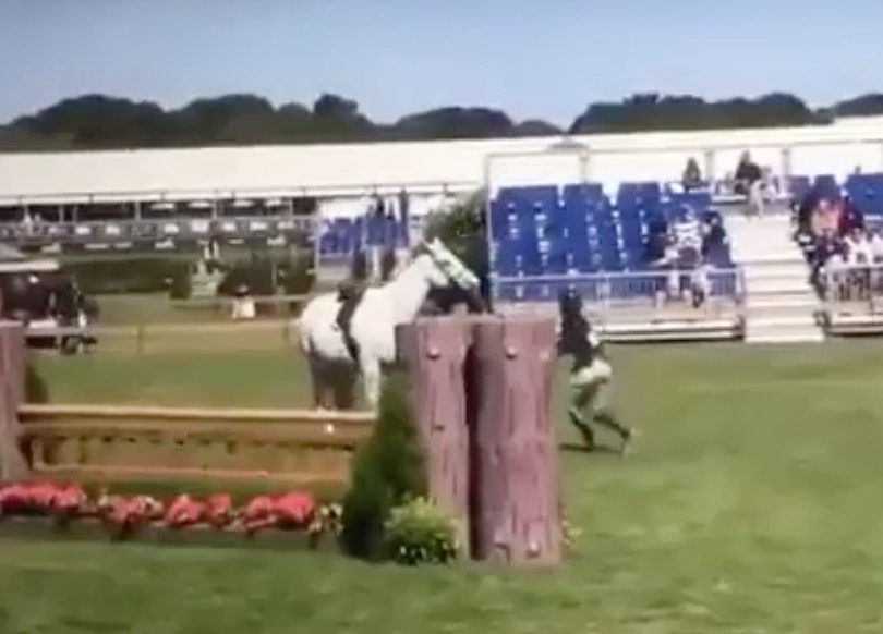 YOUTUBE Ereditiera Johnson & Johnson cade dal cavallo e lo prende a calci