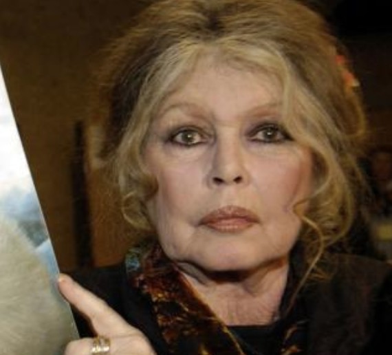 Brigitte Bardot scrive a papa Francesco: "Favorisce gli immigrati musulmani"