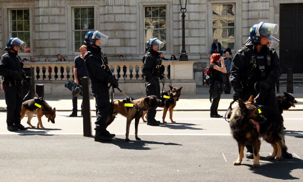 Gran Bretagna, per Islam cane è impuro: tute speciali alle carcerate musulmane durante le perquisizioni