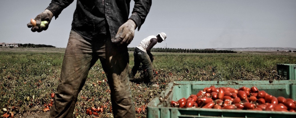 Cosenza. Caporalato razzista: 35 euro al giorno ai bianchi, 25 ai neri. Due arresti