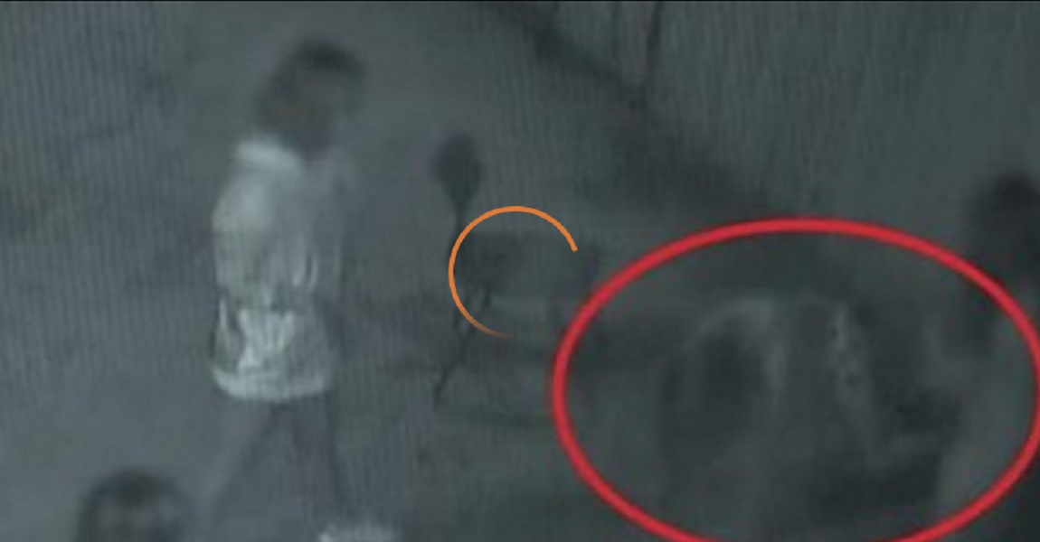 YOUTUBE Corea del Sud, 14enne picchiata a sangue da coetanee: ricoverata in ospedale è grave