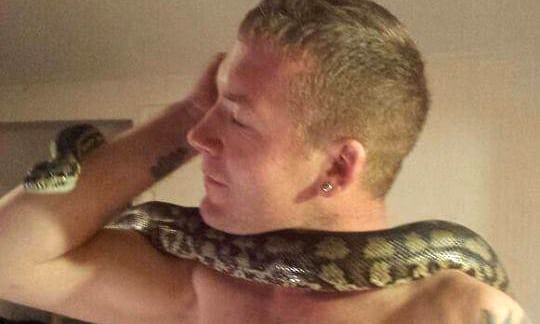 Pitone di "casa" lo soffoca: appassionato di animali esotici muore