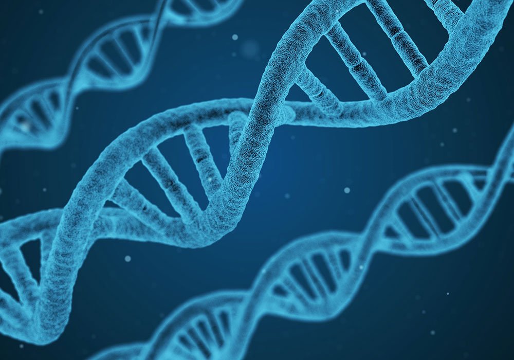 Evoluzione umana più complessa di quanto pensato: come cambia Dna con ambiente