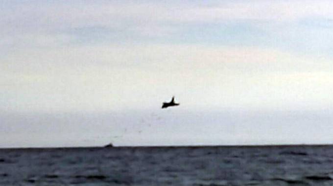 Terracina, incidente aereo militare. L'astronauta Cheli: "Difetto tecnico o errore umano"